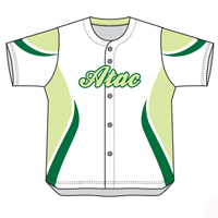 Softball Jersey